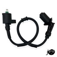 Big Boy Revival Ignition Coil