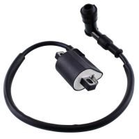 Bashan Xplode Ignition Coil